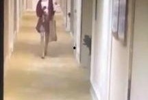 网友爆料祥驴酒店视频,网友热议背后的真相