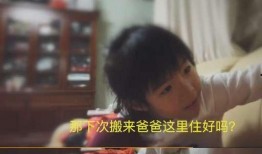 可乐妈被爆料的视频大全,揭秘网络舆论背后的真相