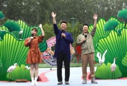 唐大锤最新爆料视频,揭秘娱乐圈惊人内幕！