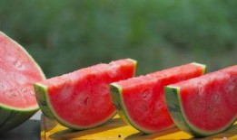 娱乐吃瓜的素材视频大全,笑料百出，精彩纷呈！