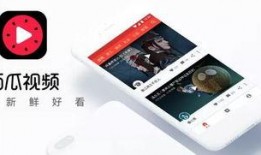 今日西瓜爆料最新消息,最新瓜界动态，揭秘今日热点事件