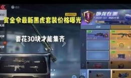 cf赏金令最新爆料价格,神秘价格引发热议，玩家热议不已！