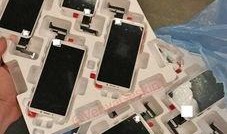 苹果爆料信息今日最新,神秘新机即将亮相，颠覆性功能引期待