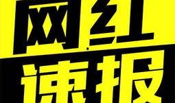 快手最新大事件爆料,揭秘平台新动向与行业变革