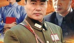 将军电视剧在线观看,烽火岁月里的英雄传奇