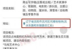 爆料最新项目有哪些,科技前沿动态盘点