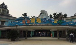 成都恒大爆料最新消息