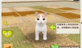 娱乐吃瓜君罗小猫