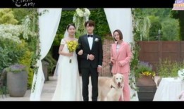 韩剧婚礼在线观看,浪漫邂逅，甜蜜见证