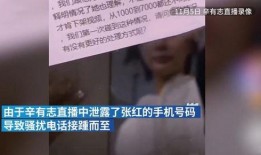 辛巴母亲爆料视频大全,揭开家庭纷争背后的真相