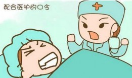 圈里人爆料白鹿视频,圈内人爆料背后的惊人真相