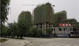 新野房地产爆料案件最新,揭开背后利益链的神秘面纱