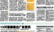 广洲新闻爆料,揭秘某事件背后真相