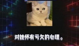 娱乐圈八卦吃瓜小说,揭秘明星背后的秘密与爱恨情仇