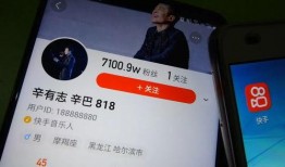 辛巴爆料快手收五一亿的视频,快手五一亿元内幕曝光
