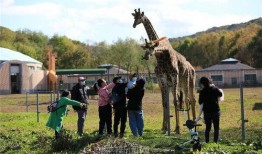 10月神奇动物爆料视频,神秘生物齐聚，奇幻世界再掀热潮