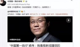 大瓜爆料视频个人,视频内容深度解析