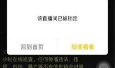 科技爆料大哥视频播放网站,视频播放网站背后的秘密与未来趋势