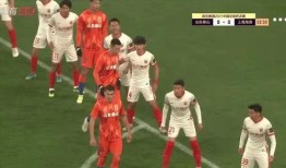 山东鲁能爆料事件视频,揭秘背后真相与争议