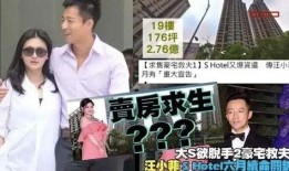 员工爆料汪小菲视频播放,员工爆料背后的真相与争议