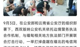 缅北最新爆料新闻视频播放,视频曝光惊人内幕