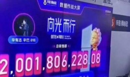 辛巴爆料快手收五一亿的视频,快手五一亿元内幕曝光