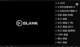 blank在线观看,在线观看的视觉盛宴