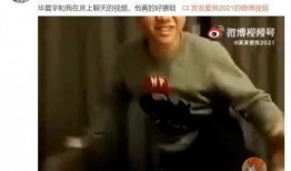 嫂子爆料视频在线观看,一场家庭风波背后的真相