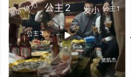嫂子爆料视频在线观看,一场家庭风波背后的真相