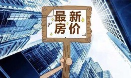 广州六号至七号新闻爆料,揭秘背后真相与争议焦点