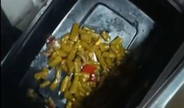 爆料美食视频,揭秘热门视频背后的美味秘密