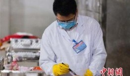 遗体化妆师爆料视频,揭秘生死之间，美丽与尊严的守护者