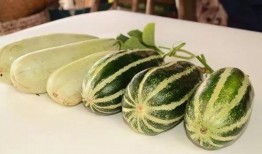 网红吃瓜免下载网站,无需下载，轻松畅享热门资讯