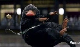 10月神奇动物爆料视频,神秘生物齐聚，奇幻世界再掀热潮