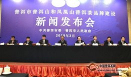 云南普洱新闻爆料,揭秘普洱茶故乡的最新动态与热点事件