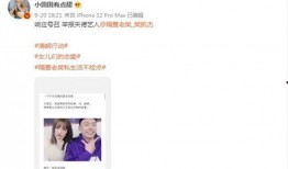 嫂子爆料视频在线观看,一场家庭风波背后的真相