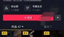 抖音爆料重庆网红兄妹视频,日常视频引网友热议