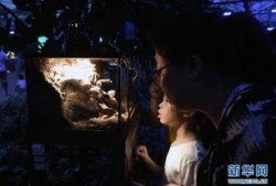 10月神奇动物爆料视频,神秘生物齐聚，奇幻世界再掀热潮