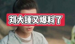 刘大锤爆料张颖颖视频,真相与争议