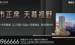 龙德井壹号最新爆料,揭秘神秘项目背后的惊人真相