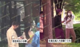 刘大锤爆料张颖颖视频,真相与争议