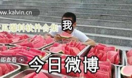 吃瓜爆料大全视频,热门视频背后的惊人真相