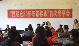 云南普洱新闻爆料,揭秘普洱茶故乡的最新动态与热点事件