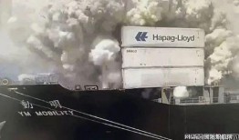 宁波船公司爆料最新消息,揭秘航运业重大变革与挑战